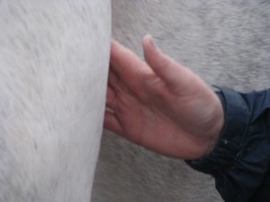IMG_8239