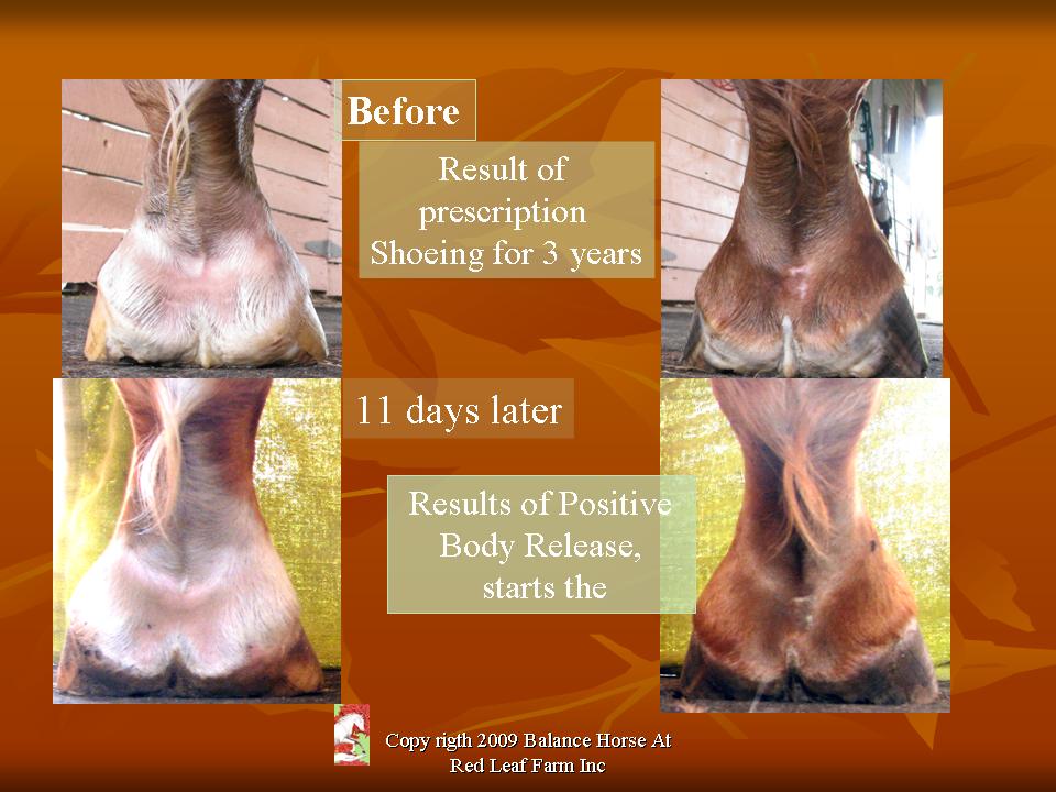 Slide43