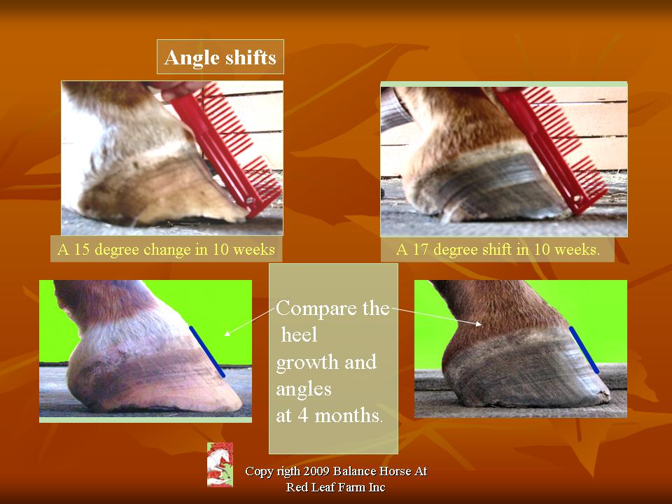 Slide44